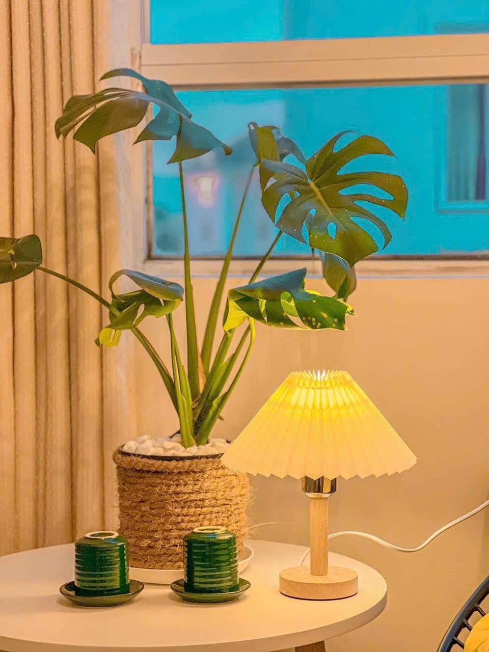 Vu Nhi Hotel Đà Lạt Ngoại thất bức ảnh